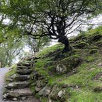 Nature, envol, coaching, talent
