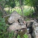 Forêt, envol, coaching,terre